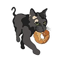 Show profile photo