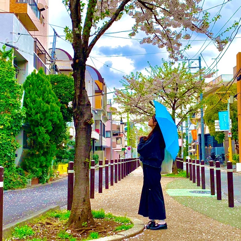 知世のアバター
