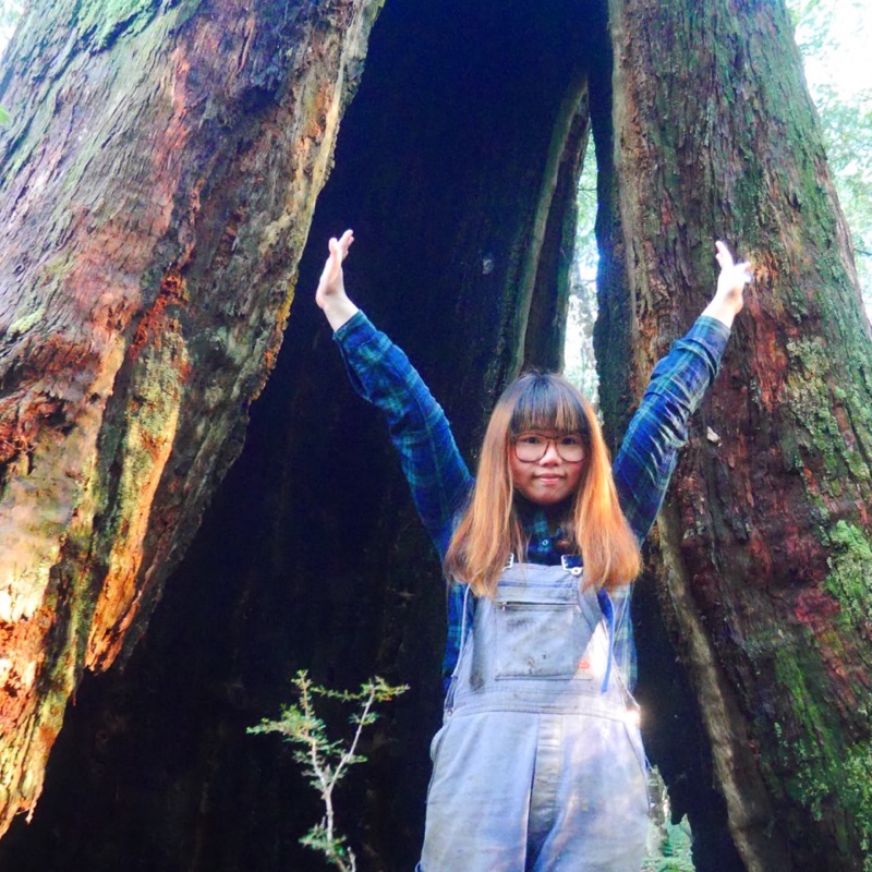 Alice is 劉謹毓的頭像