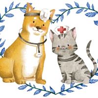 Show profile photo