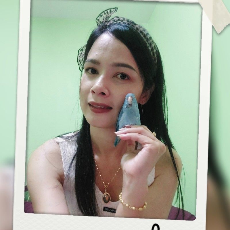 Wari
