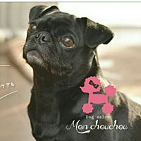 Show profile photo