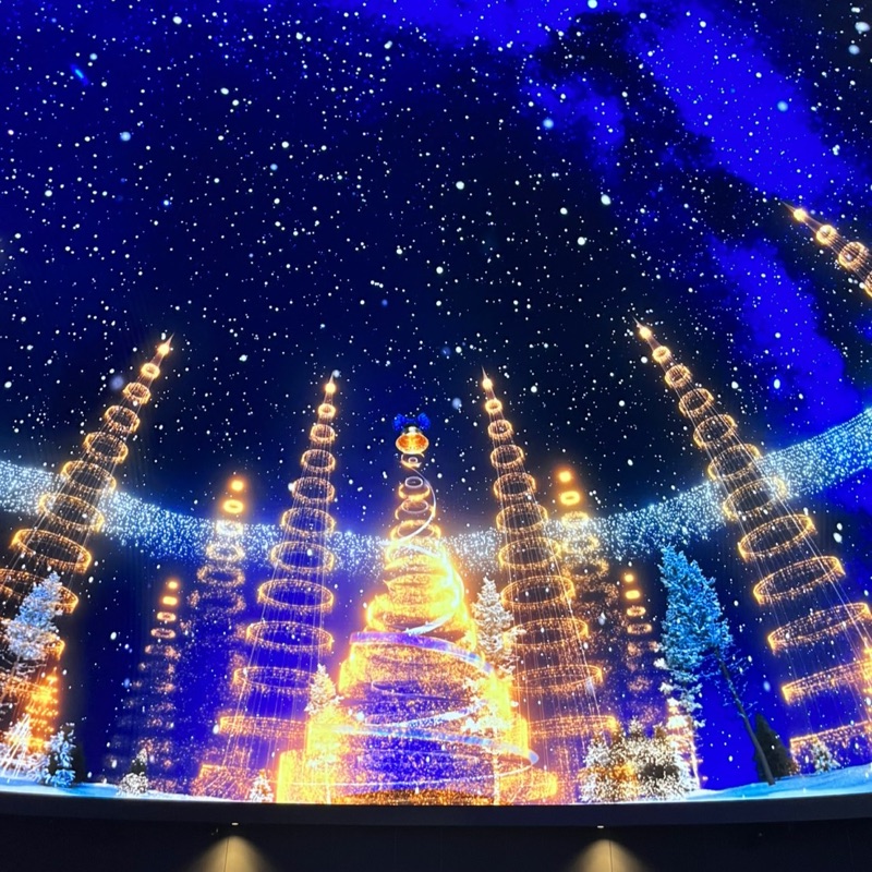 ようこ