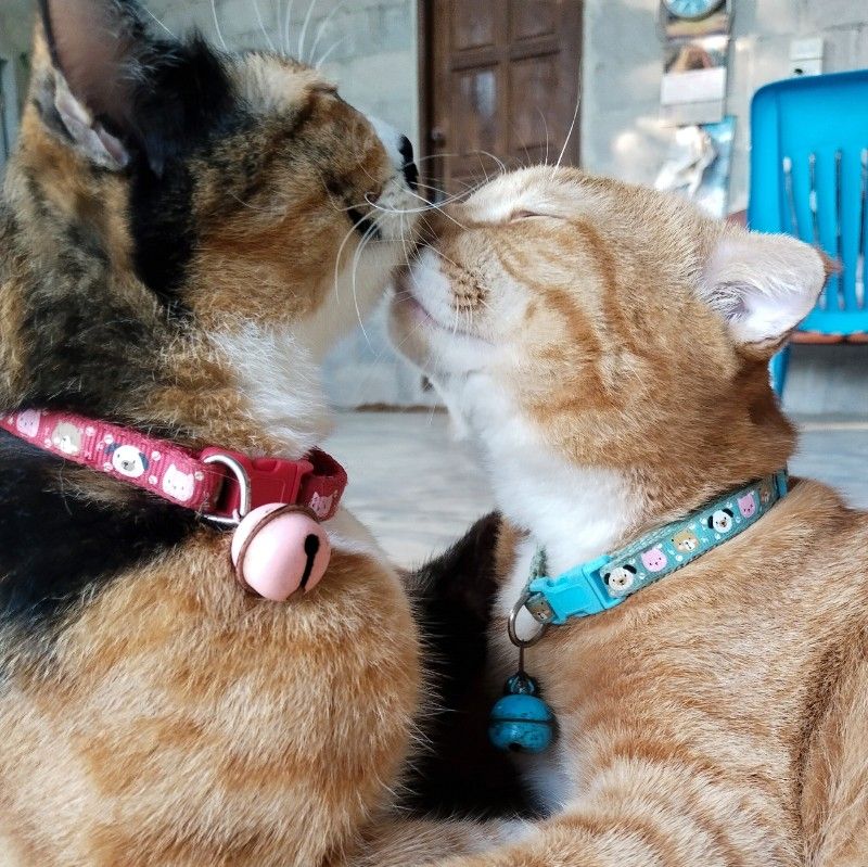 จุ๋ม