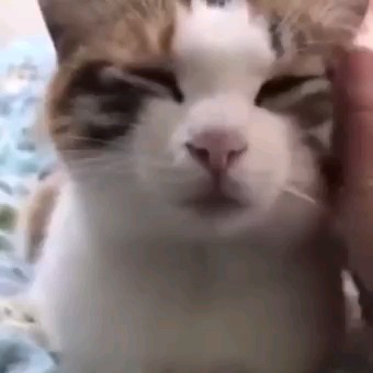 ลี