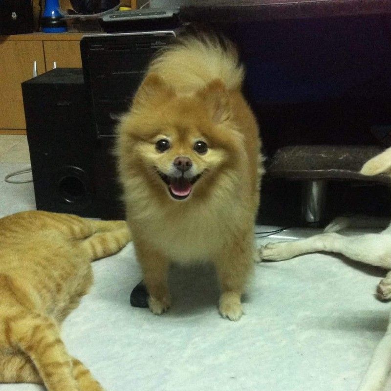 สถาพร