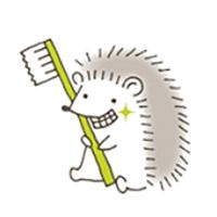 Show profile photo