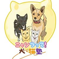 Show profile photo