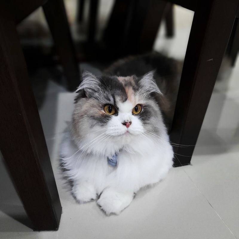 อาม