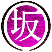 Show profile photo