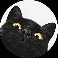 Show profile photo