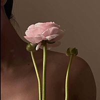 Show profile photo