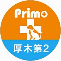 Show profile photo