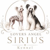 Show profile photo