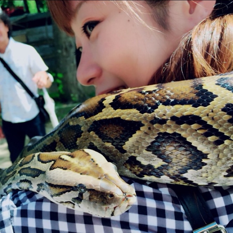 Rika