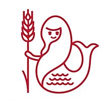Show profile photo