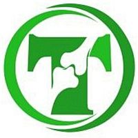 Show profile photo