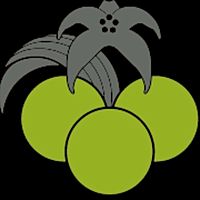 Show profile photo