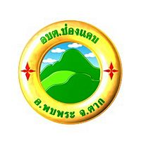 Show profile photo