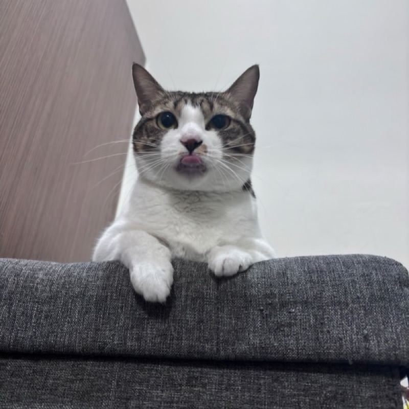高**