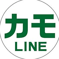 Show profile photo