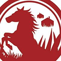 Show profile photo