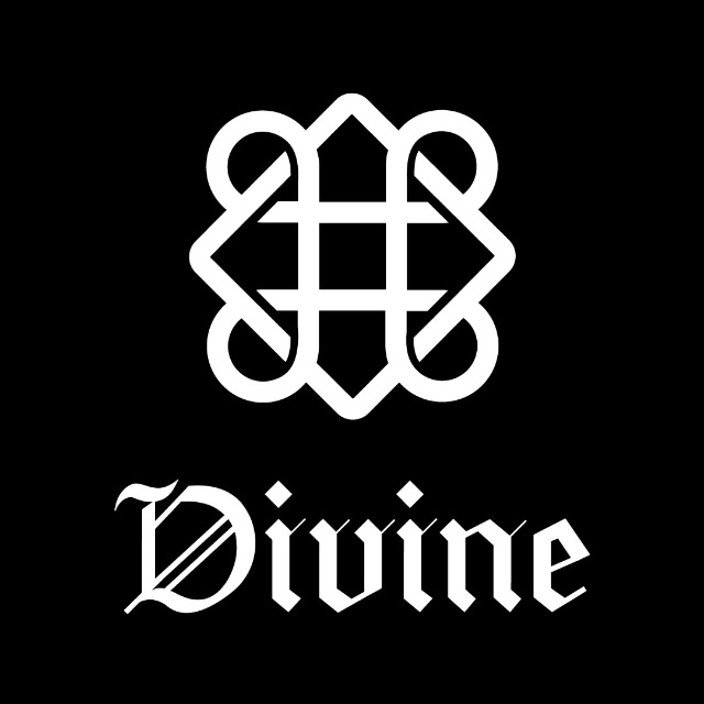 Divine official