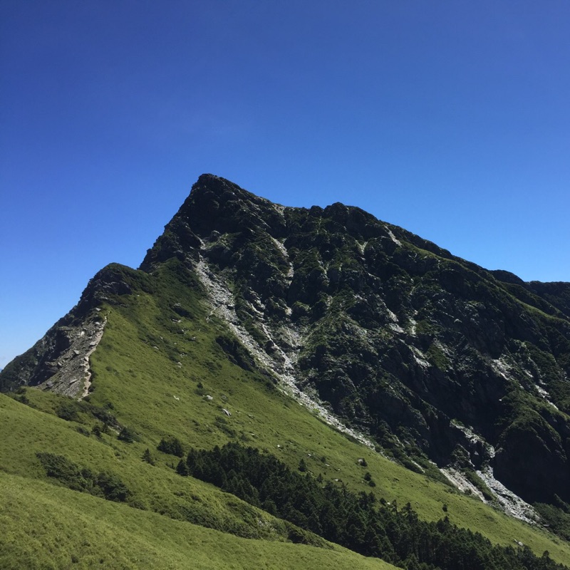 平安順利的頭像