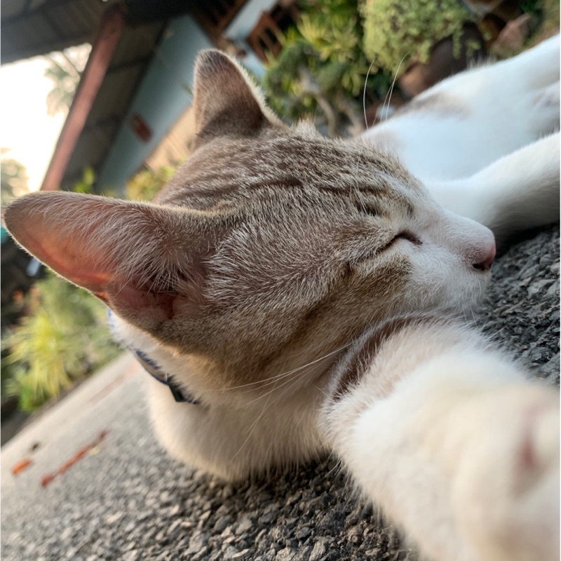 อ๋อม