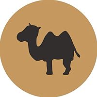 Show profile photo