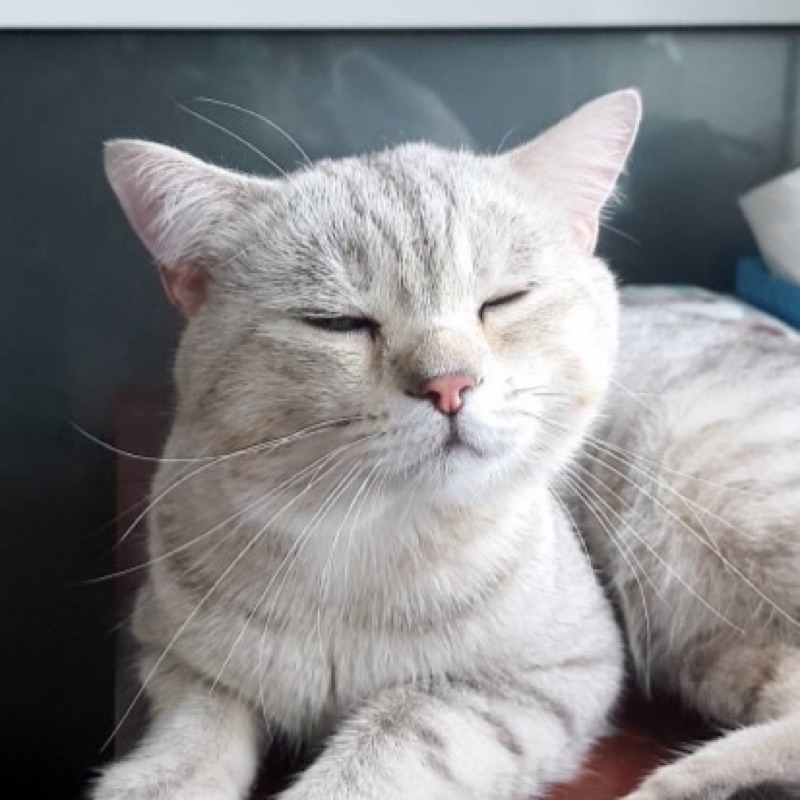หน่อย