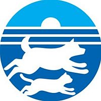 Show profile photo