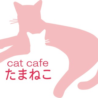 ねこカフェ『たまねこ』 | LINE Official Account