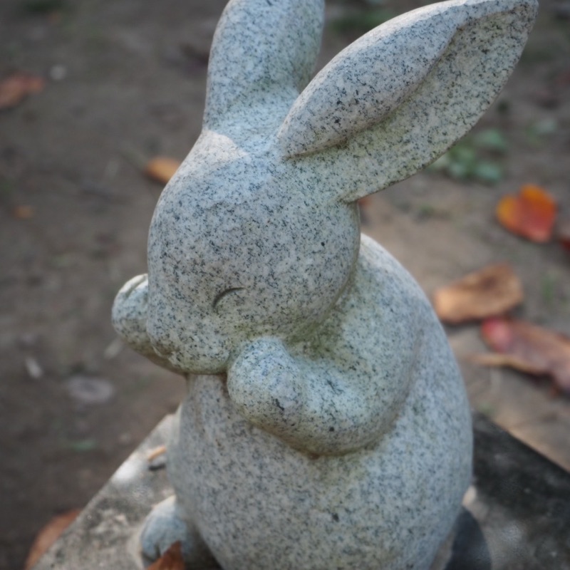 小粒梅