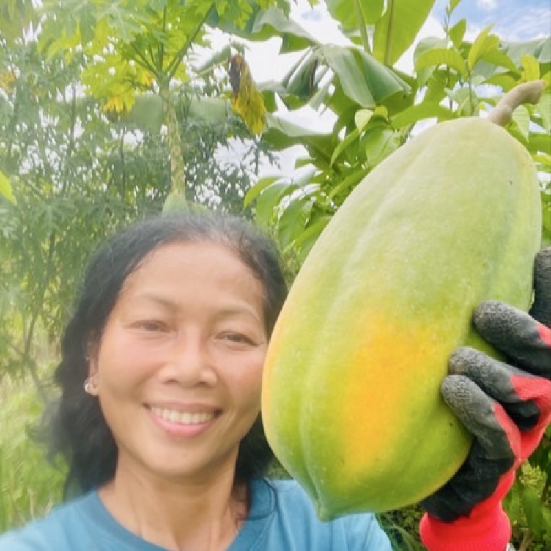 คาร่า