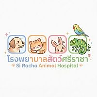 Show profile photo