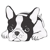 nana | LINE Official Account