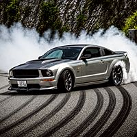 Show profile photo