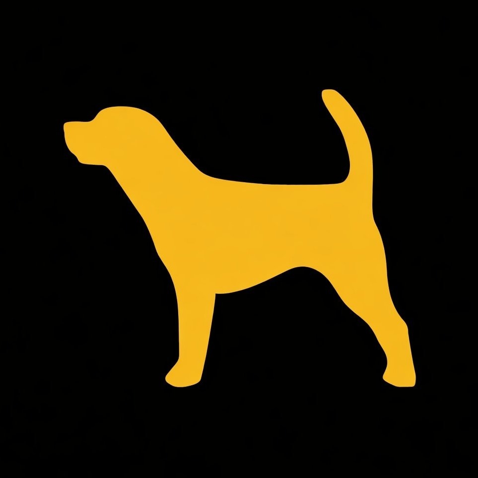 An Image