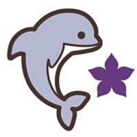 Show profile photo