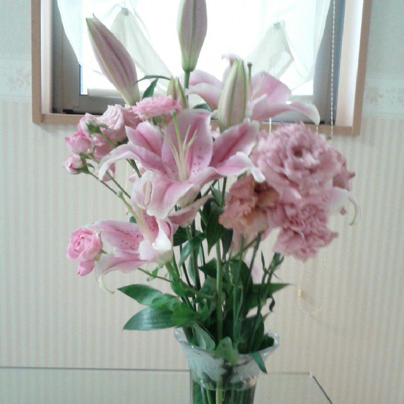 ユーザーの口コミ 東京生活館 クイズゲート浦和店 トウキョウセイカツカン クイズゲートウラワテン 中尾 浦和駅 ドラッグストア By Line Place