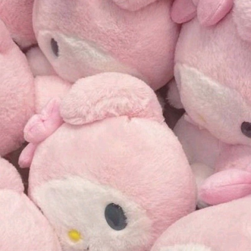ひめ
