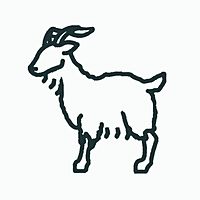Show profile photo