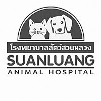 Show profile photo