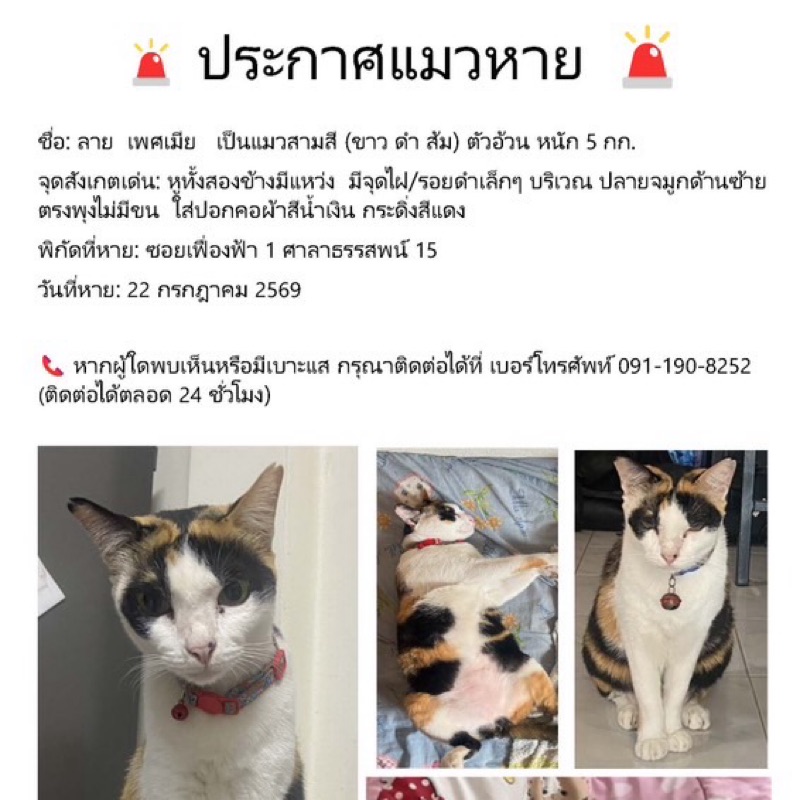 ปัทมาพร