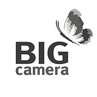 Show profile photo