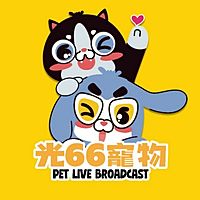 Show profile photo