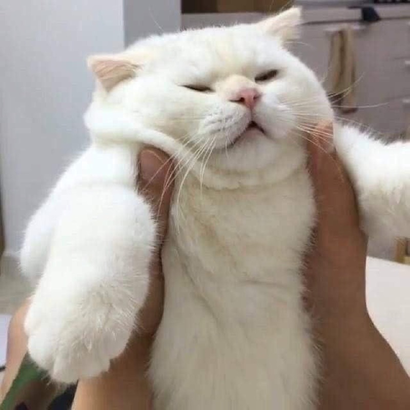พรรณปพร