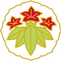 Show profile photo