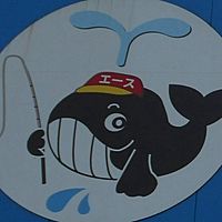 Show profile photo
